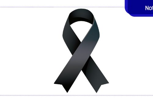 33ff41ee88a9fd61440a513b1e3295b4