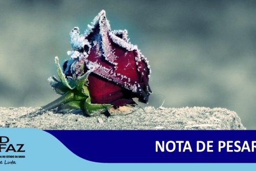 3a4fa1436c9031e2f3e699f0e3f074e2