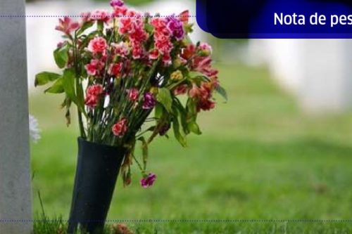 71b43db79635bc636ea4e4f8c7df11b5