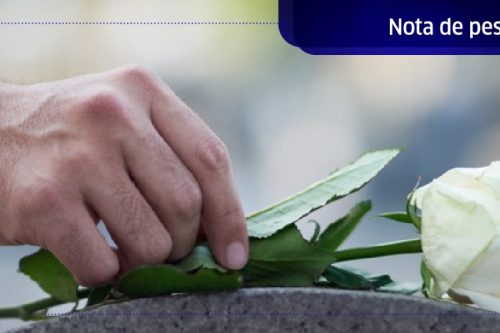 cadba31dc8e06a2c88ecd1629b294524