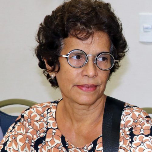 Iara Virginia Rocha
